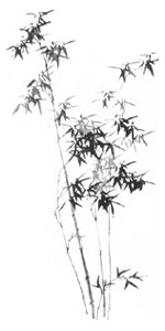 Bambus,von Cheng Hsieh, 1757