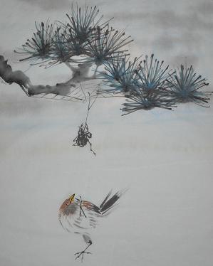 spider & bird