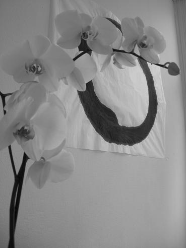 Enso