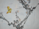Butterfly & Blossom