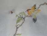 Bird & Bee