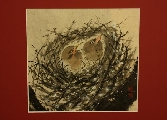 Birdsnest