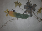 Insect & Cucumber