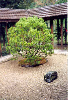Zen Tempel Tannenhof
