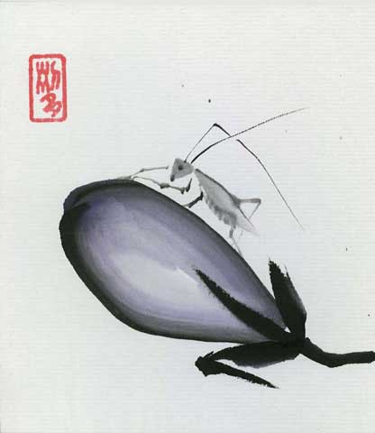 Aubergine mit Heuschrecke