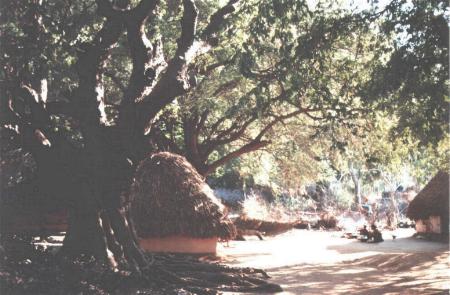 Auroville indischer Teil 2