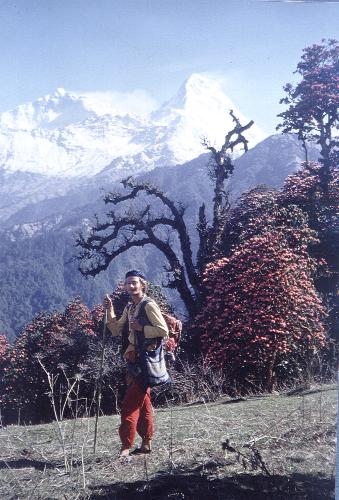Zen-Wanderung Himalaya