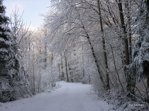 Winterweg