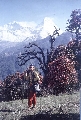 Zen-Wanderung Himalaya